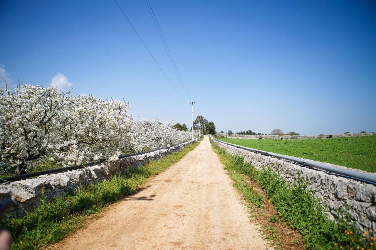 Masseria Guadiano Vecchio Santa Lucia  Eksteriør bilde