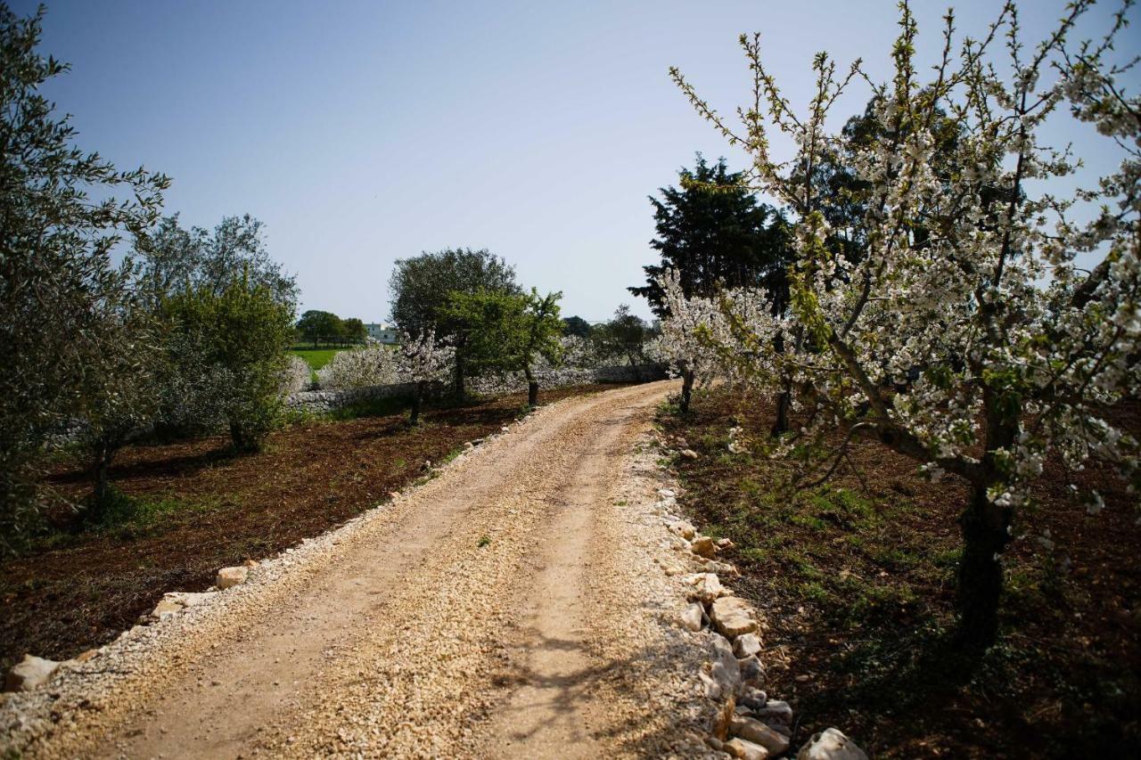 Masseria Guadiano Vecchio Santa Lucia  Eksteriør bilde